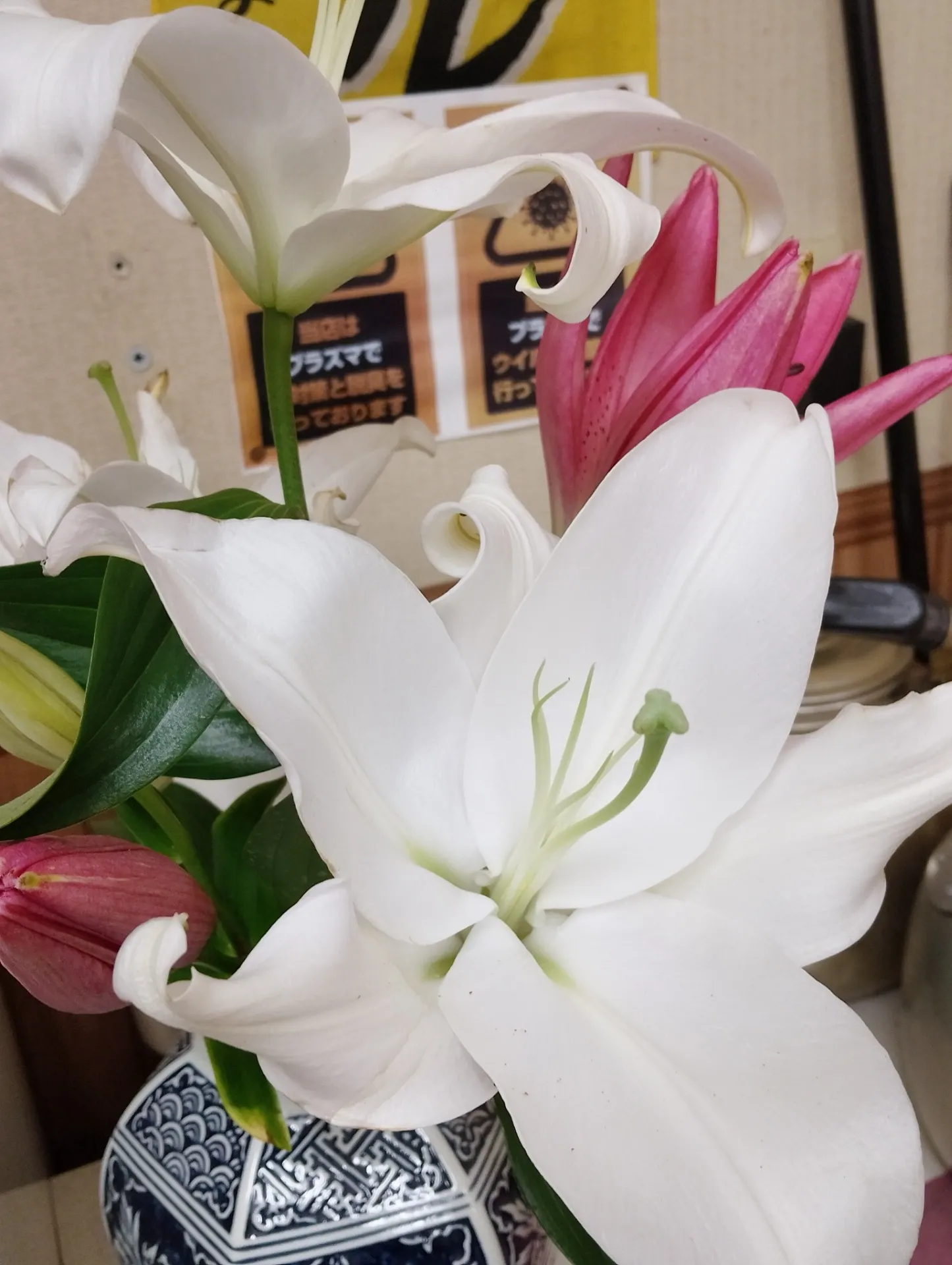 暑い夏にもおでんは、いかがでしょうか。